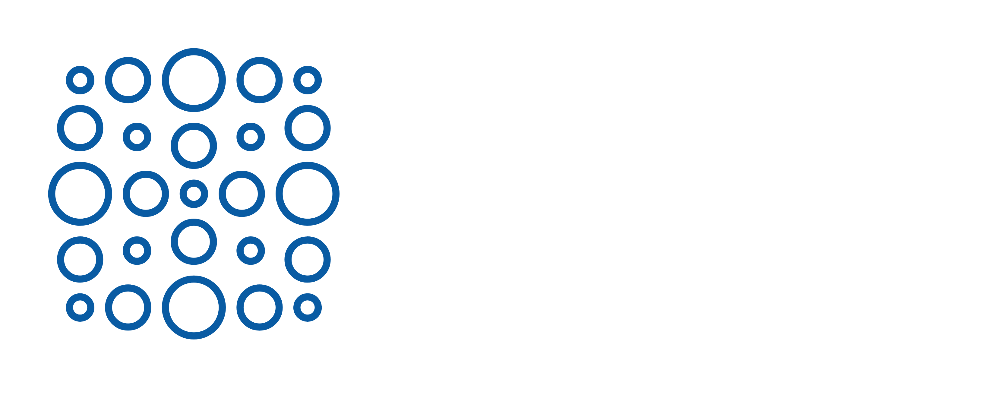 Distu Logo